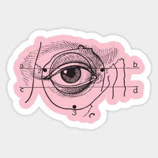 eye anatomy face Sticker